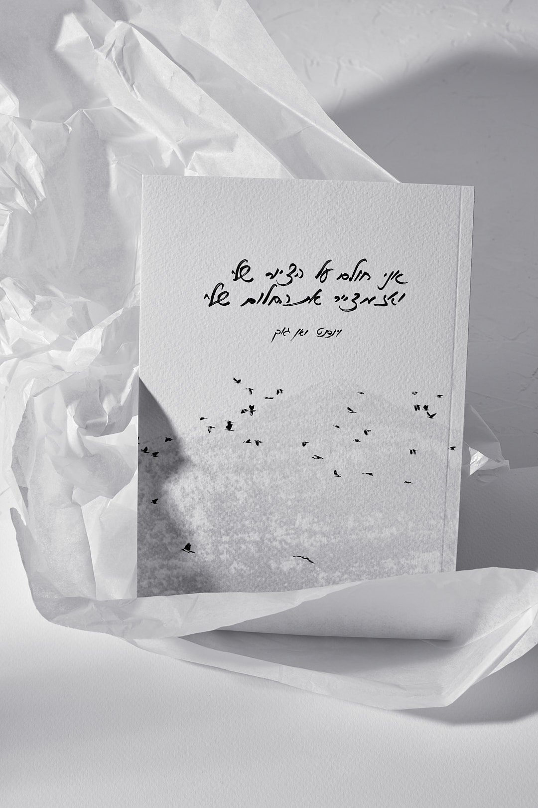 מחברת ואן גוך – תמונה 2